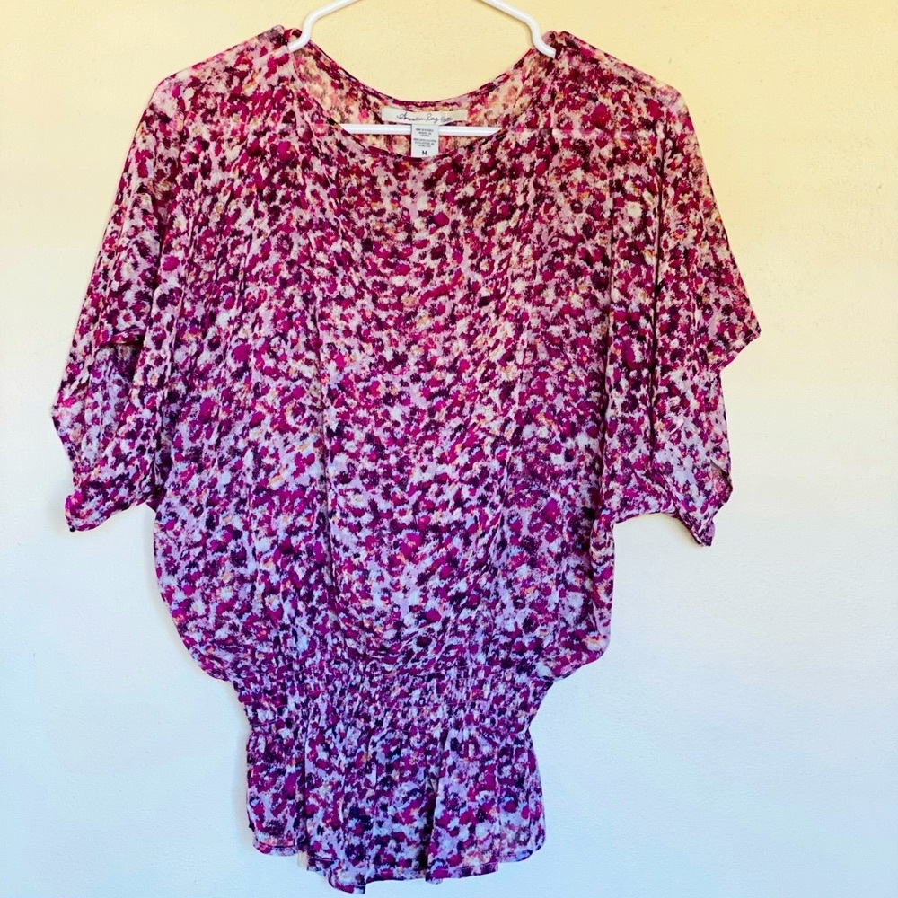Sheer Blouse